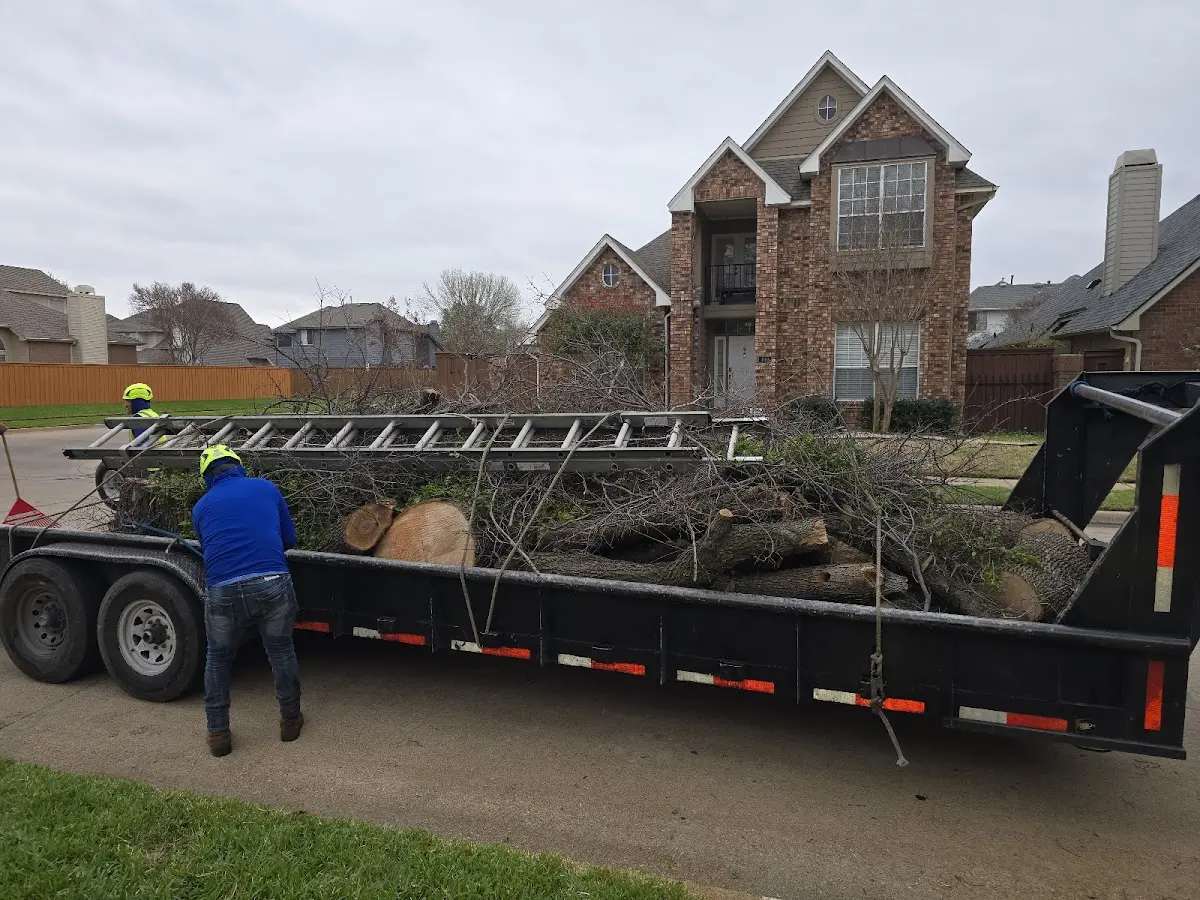 Expert Tree Fertilization with proper safety equipment in Vandergrift